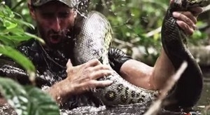 /pliki/zdjecia/ana2 (Kopiowanie).jpg